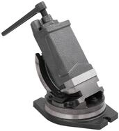 vidaXL Schraubstock 2-Achsen-Schraubstock Kippbar 100 mm, 1-St.