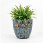 Teramico Blumentopf Pflanzgef&auml;&szlig; "Egg Pot" Lava Blau &ndash; &Oslash; 21 bis 38 cm &ndash;