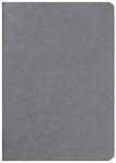 CLAIREFONTAINE Notizbuch 5x Age Bag Notizbuch A5, 48 Blatt 90g blanko Grau 733105C,