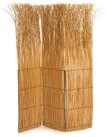 DESIGN DELIGHTS Paravent RAUMTEILER NATURE, honigfarben 160x120cm (LxB) Weide