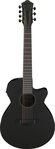 Ibanez Westerngitarre Ibanez AEG721-BOT