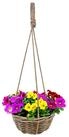 Spetebo Blumenampel Rattan Blumenampel shabby chic mit Folie - 30 cm (Anzahl, 1...