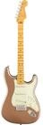 Fender E-Gitarre, E-Gitarren, ST-Modelle, American Professional Classic...