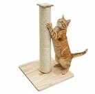 eyepower Kratzbaum Klein - 62 cm Kratzstamm mit Holzplatte Sisal Kratzs&auml;ule...