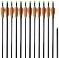 vidaXL Compoundbogen, Compoundbogen-Pfeile 30" 0,8 cm Fiberglas 12 Stk.