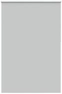 Rollo Verdunkelungsrollo Hellgrau 165x210cm Stoffbreite 161,6cm, vidaXL