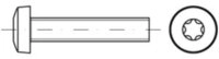 Contorion Schraube ISO 14583 Flachkopfschraube VG M3x25 Edelstahl A2 blank T10...