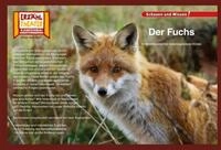 Der Fuchs / Kamishibai Bildkarten / diverse