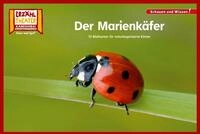 Sachbuch Der Marienk&auml;fer / Kamishibai Bildkarten 10 Fotobildkarten f&uuml;r das...