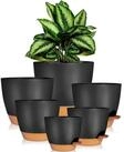 LuxusKollektion Kr&auml;utertopf iDattel Selbstbew&auml;sserung Blumentopf Set 6er-Set