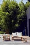 jankurtz Gartensessel Fred aus Teakholz