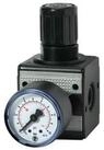 RIEGLER Druckregler Riegler Druckregler &raquo;multifix&laquo;, inkl. Manometer, BG 3, G...