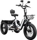 Remington E-Bike Dreirad R100, 7 Gang Shimano TY300 Schaltwerk, Kettenschaltung,