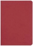 CLAIREFONTAINE Notizbuch 5x Age Bag Notizbuch A5, 48 Blatt 90g blanko Rot...