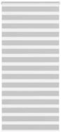 Rollo Doppelrollo Hellgrau 105x200 cm Stoffbreite 100,9 cm Polyester, vidaXL