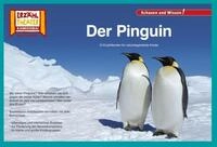 Der Pinguin / Kamishibai Bildkarten / diverse