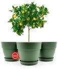 BigDean Blumentopf mit Untersetzer rund innen + au&szlig;en geeignet Wetterfest...