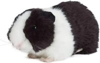 Living Nature Kuscheltier Living Nature Meerschweinchen, schwarz 18cm ohne Sound