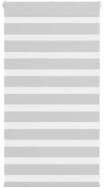 Rollo Doppelrollo Hellgrau 80x100 cm Stoffbreite 75,9 cm Polyester, vidaXL