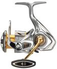 Daiwa Spinnrolle), Daiwa 21 Freams LT 2500-XH Spinnrolle