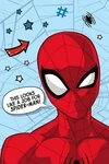 Wohndecke 100x150 cm Kuscheldecke aus 100 % Polyester, Weich & Warm, Spiderman