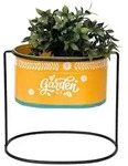 DanDiBo Blumenhocker 30 cm Blumenst&auml;nder 96526 L Blumens&auml;ule Pflanzenst&auml;nder