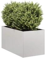 vidaXL Pflanzk&uuml;bel, Pflanzgef&auml;&szlig; 40x80x40 cm Edelstahl