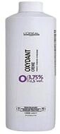 L'Oreal Deutschland Haarmaske LOr&eacute;al OXYDANT CREME 12,2 vol 1000 ml