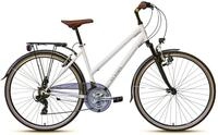 WYNN Trekkingrad Trekkingrad 28 Zoll Shimano Tourney 21 Gang TRK1.0 Federgabel...
