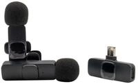 Realpower RealPower HS-1,Wireless Microphone,2 Mikrofone,1 Empf&auml;nger Wireless