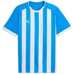 PUMA Fu&szlig;balltrikot Puma Herren Trikot teamLIGA26 Striped Jersey 706550 blau S
