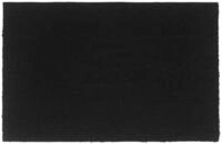 vidaXL Fu&szlig;matte Fu&szlig;matte Schwarz 65x100 cm Kokosfaser Getuftet, Rechteckig,...
