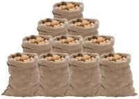 vidaXL Gartensack Jutes&auml;cke 10 Stk. 60x105 cm 100% Jute 220 g/m&sup2;, (10-tlg)