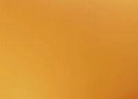 maildor Bastelkartonpapier Maildor Fotokarton 50x70 Rec 25 Bg goldg
