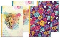RNK Verlag Schulheft Notizbuch Fresh Colours sortiert - A4 Hardcover 96 Blatt...