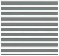 Rollo Doppelrollo Dunkelgrau 165x100 cm Stoffbreite 160,9 cm Polyester, vidaXL