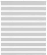 Rollo Doppelrollo Hellgrau 120x100 cm Stoffbreite 115,9 cm Polyester, vidaXL