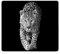 KESPER&reg; Schneide- und Abdeckplatte Multi-Glasschneideplatte, Leopard,