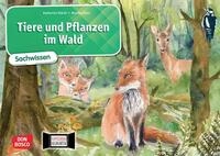 Tiere und Pflanzen im Wald. Kamishibai Bildkartenset Entdecken - Erz&auml;h /...