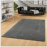 Snapstyle Hochflor-Teppich Hochflor Luxus Velours Teppich Touch, Rechteckig,...