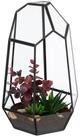 relaxdays Dekovase Geometrisches Pflanzenterrarium aus Glas (1 St), schwarz