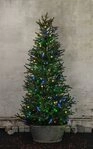 EGLO LED-Lichterkette SERIE LED - Weihnachtsdeko - Beleuchtung - Winterdeko,