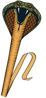 G&uuml;nther Flug-Drache Cobra Schlange, 69 x 400 cm, mit Wickelgriff, f&uuml;r Kinder ab 6