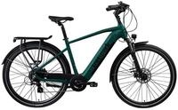 Tretwerk E-Bike Trekkingrad Onyx, 8 Gang Shimano Altus M310 Schaltwerk,