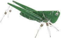 Whadda Modellbausatz Die Heuschrecke WSAK207