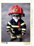 CALVENDO Puzzle CALVENDO Puzzle Ein Motiv aus dem Kalender Feuerwehr - Tierischer