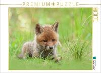CALVENDO Puzzle CALVENDO Puzzle Ein Motiv aus dem Kalender F&uuml;chse - zauberhafte