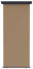 vidaXL Seitenmarkise Balkon Seitenmarkise 100 x 250 cm 100% Polyester Eisen Stahl