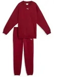 PUMA Trainingsanzug LOUNGEWEAR OVERSIZED SWEAT SUIT FL G (2-tlg), mit elastischem