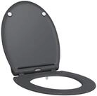 vidaXL WC-Sitz Toilettensitz Anthrazit 45,5 x 37,5 x 3,8 cm Duroplast (1-St)